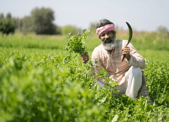 Farmers First: Rural Empowerment & Organic Farming